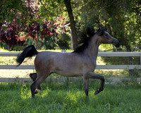 LaVitaBellaRA_Apr25_5602