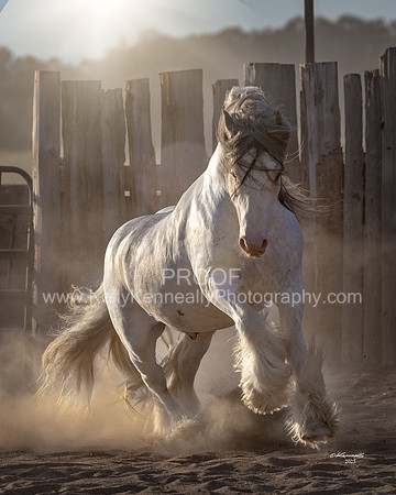 ThunderMay25_3654-Edit
