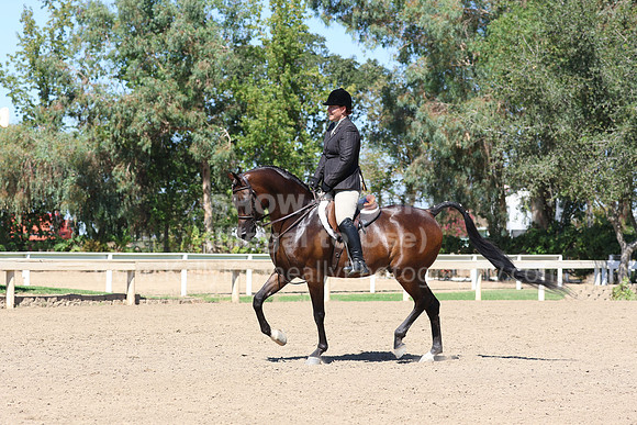 DAHA_FF22_5175