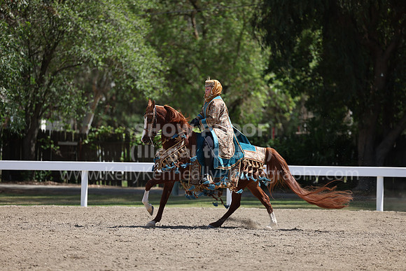 DAHA22_Thurs_0891