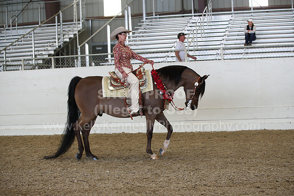 AHANC22_Fri_2008
