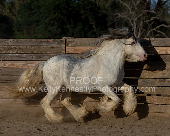 ThunderMay25_3388