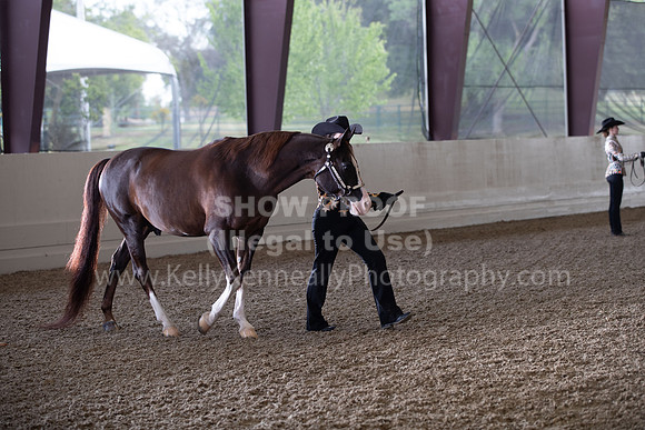 AHANC22_WedAM_0006