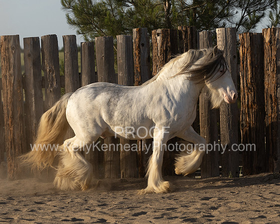 ThunderMay25_3476