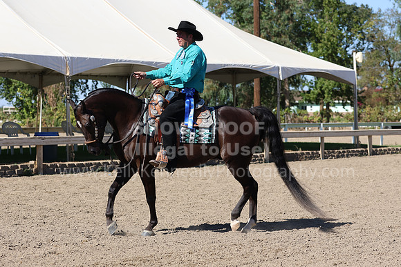 DAHA_FF22_1416
