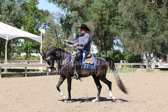 DAHA_FF22_1264