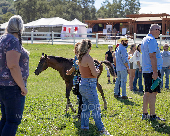 BeckersExtravaganza24_Sun_0976