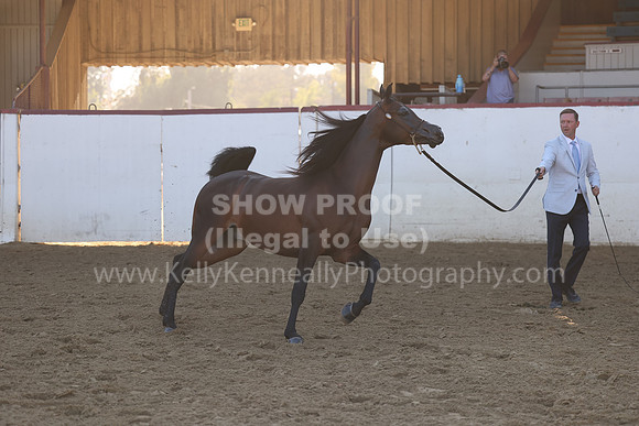 R2_22_Thurs_6701