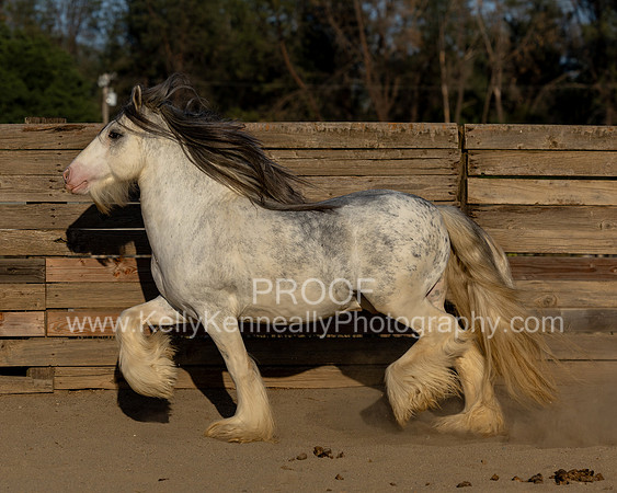 ThunderMay25_3295