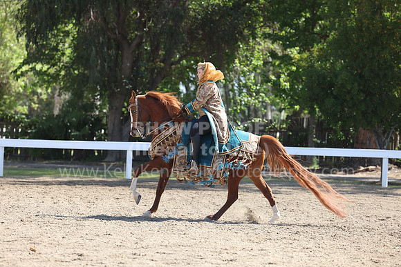 DAHA22_Sun_3429
