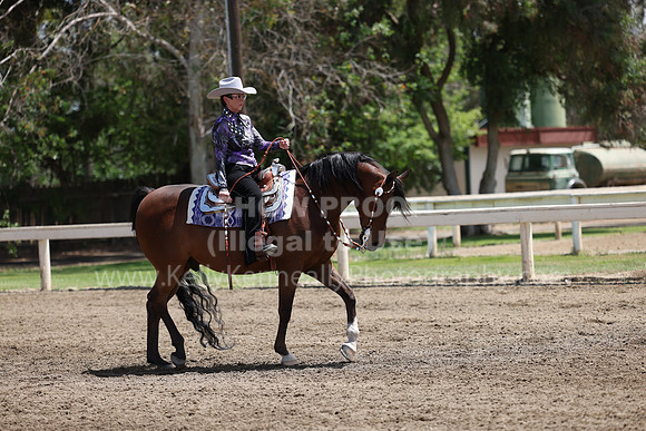 DAHA22_Thurs_0982