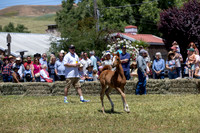 ShermanRanch0524_1117
