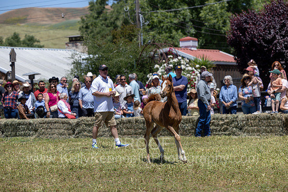 ShermanRanch0524_1117