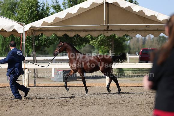 DAHA22_Fri_1481