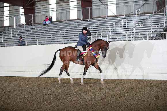 AHANC22_Thurs_1154