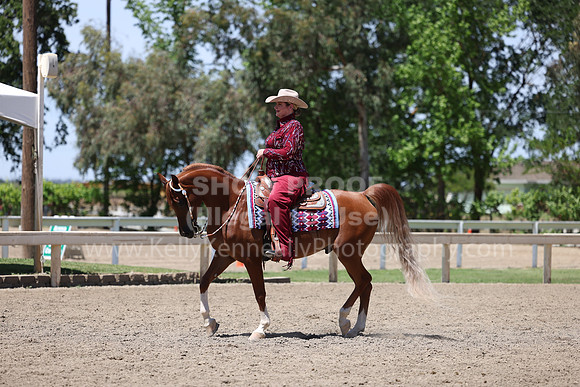 DAHA22_Thurs_1317