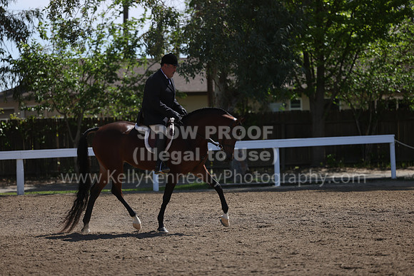 DAHA22_Thurs_0788