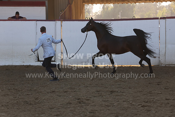 R2_22_Thurs_6763