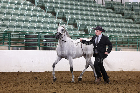 R322_CH_Thurs_2438