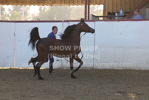 R2_22_Thurs_6230