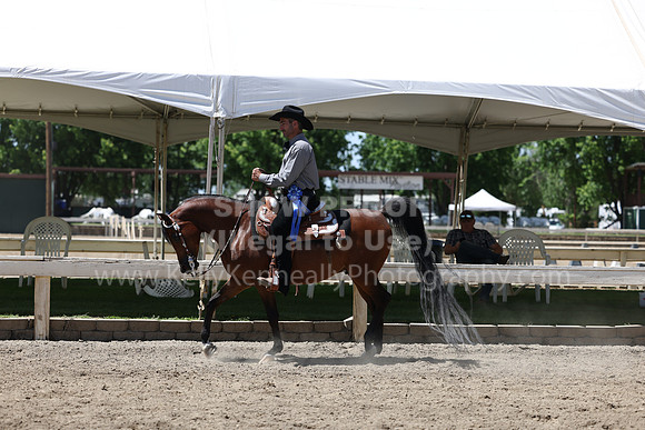 DAHA22_Thurs_1282