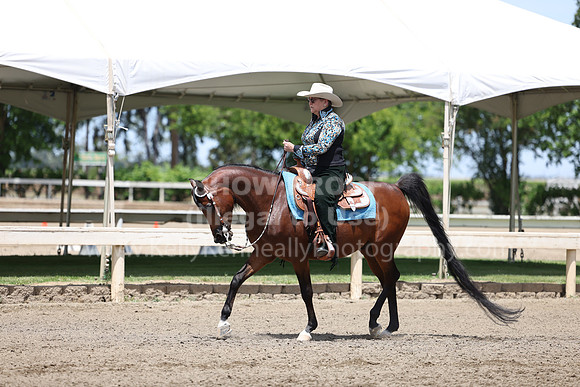 DAHA22_Thurs_0969