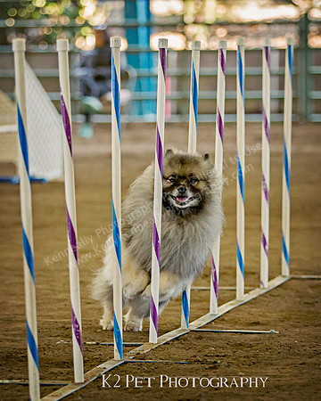 SCAC_Nov17Day2_5765