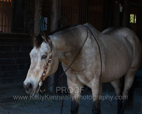 Kellie&Dusty22_0017
