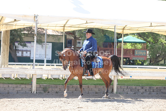 DAHA22_Fri_1819